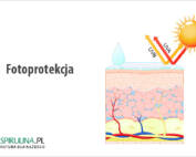 Fotoprotekcja