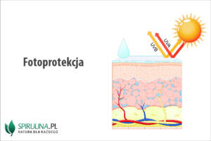 Fotoprotekcja