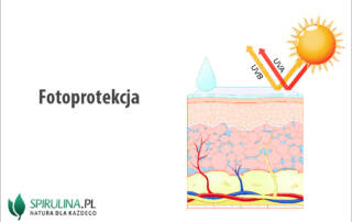 Fotoprotekcja