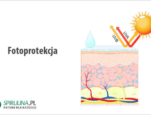 Fotoprotekcja