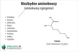 Niezbędne aminokwasy