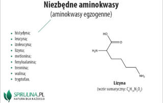 Niezbędne aminokwasy
