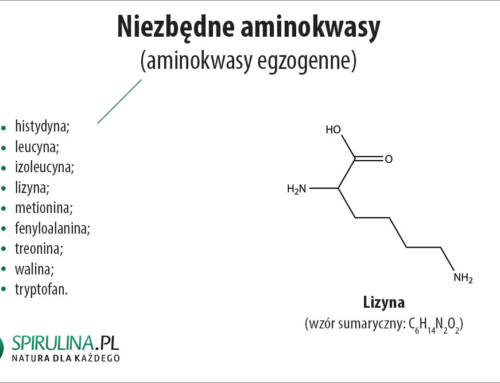 Niezbędne aminokwasy