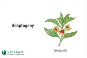Adaptogeny