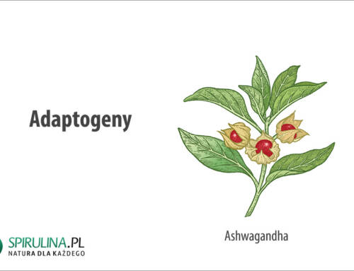 Adaptogeny