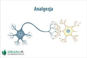 Analgezja