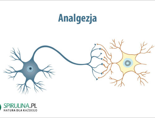 Analgezja