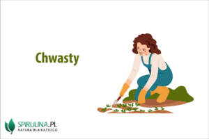 Chwasty