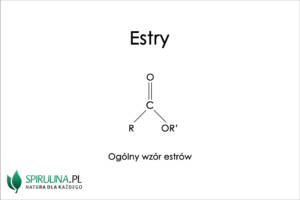 Estry