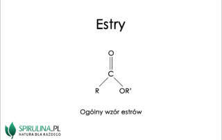 Estry