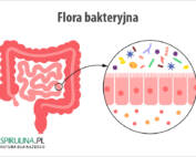 Flora bakteryjna