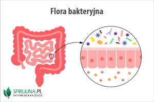 Flora bakteryjna