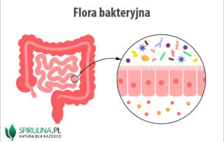 Flora bakteryjna