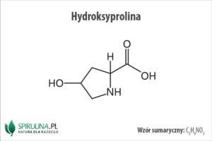 Hydroksyprolina