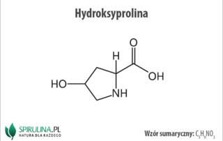 Hydroksyprolina