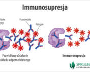 Immunosupresja