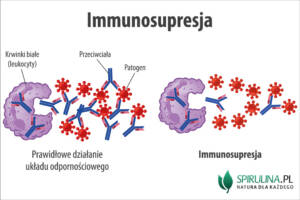 Immunosupresja Immunosupresja