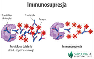 Immunosupresja
