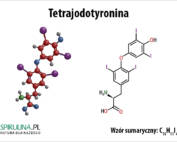 Tetrajodotyronina