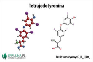 Tetrajodotyronina
