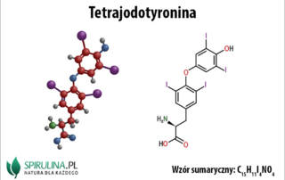 Tetrajodotyronina