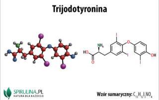 Trijodotyronina