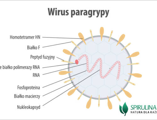 Wirus paragrypy