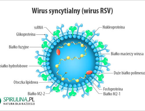 Wirus syncytialny