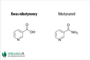 Kwas nikotynowy