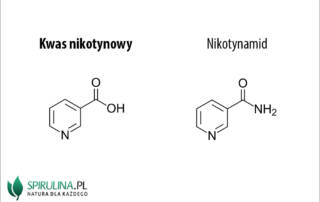 Kwas nikotynowy