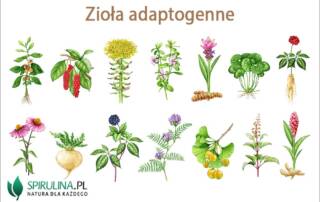 Zioła adaptogenne