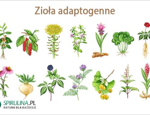 Zioła adaptogenne
