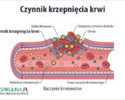 Czynniki krzepnięcia krwi