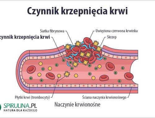 Czynniki krzepnięcia krwi