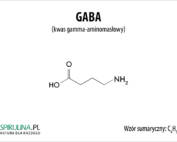 GABA