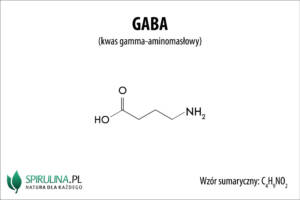 GABA