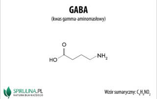 GABA