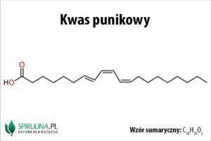 Kwas punikowy