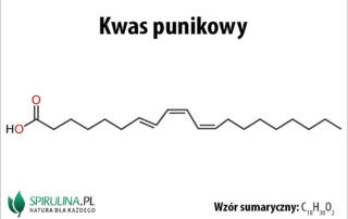 Kwas punikowy
