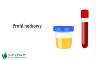 Profil nerkowy