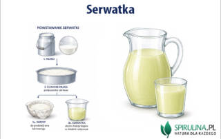 Serwatka