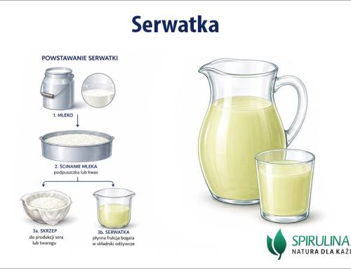 Serwatka