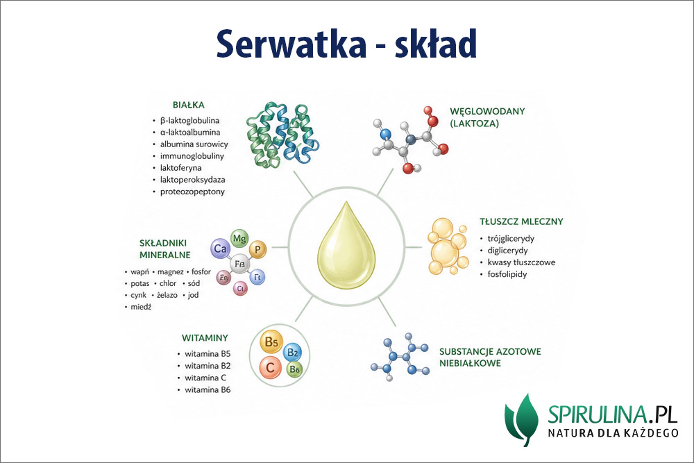 Serwatka skład