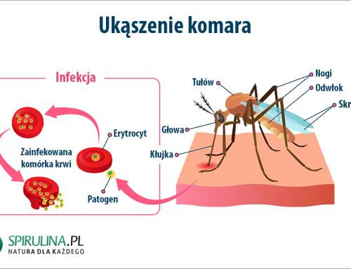 Ukąszenie komara
