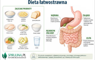 Dieta łatwostrawna
