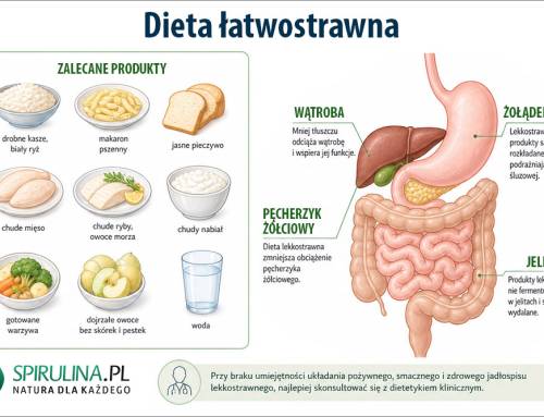 Dieta łatwostrawna