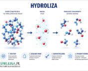 Hydroliza