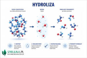 Hydroliza