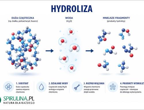 Hydroliza