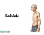 Kacheksja